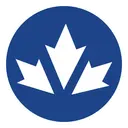 Syndesus logo