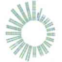 Soleno logo