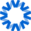National Vision logo