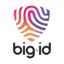 BigID logo