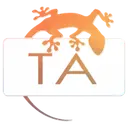 True Adventure Travel logo