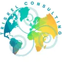 Triskel Consulting logo