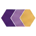 Wiseek logo