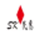 SK Automation Germany GmbH logo
