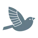 Forte Health logo