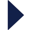 RAICES logo