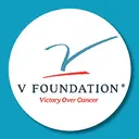 THE V Foundation logo