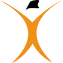 Spine Team Texas Management Company logo