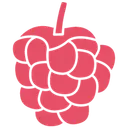 Himbeer Media logo