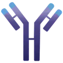 IMVT Corporation logo