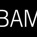 Brooklyn Academy of Music Inc logo