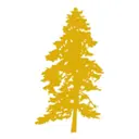 Stone - Indeed logo