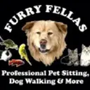 Furry Fellas Pet Service LLC logo