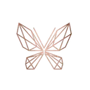 International Cosmetics & Perfumes logo