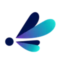 Luminize logo