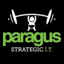 Paragus Strategic IT logo