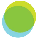 Silicon Valley International School logo