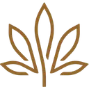 Kiva Confections logo