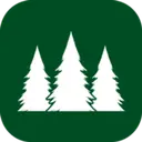 Pine Services Group logo