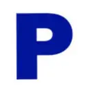 Partner ESI logo