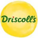 Driscoll logo