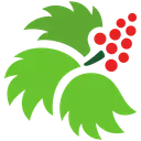 Searhc logo