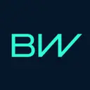 BorgWarner logo