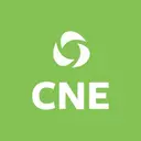 Center for Nonprofit Excellence logo