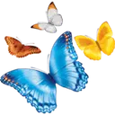 Nationwidechildrens logo