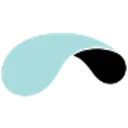 Parachute Technology Inc logo