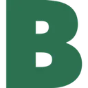 Braun Intertec logo