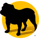 Pavone Group logo