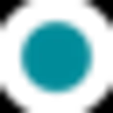 Delphon Industries LLC logo