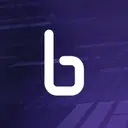 Binarly logo