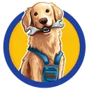 Super Service Today logo