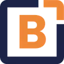 Brillinterview logo