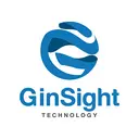 Ginsighttech Team logo