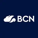 BCN Group logo