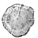 Meeder Investment Management logo