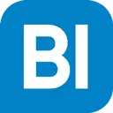 Best Data Solutions logo