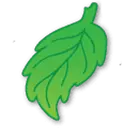 Fallen Leaf Lake CSD logo