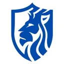 Leo Solutions logo