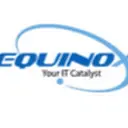 Equinox IT logo