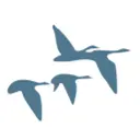 Bjurfors logo