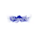 Bluewindsrl logo