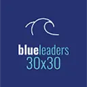BlueLeaders logo