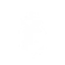 Devotum logo