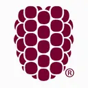Dewberry logo