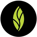 Mintdentistry logo