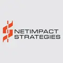 NetImpact Strategies logo